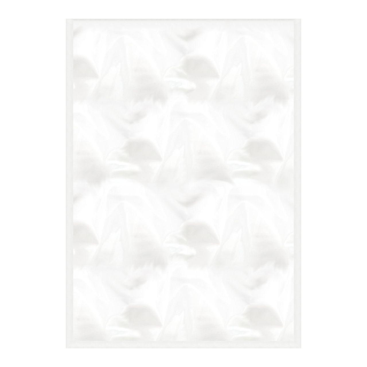 Vakuumpåse 250 x 350 mm slät 90my Förpackning med 100 st